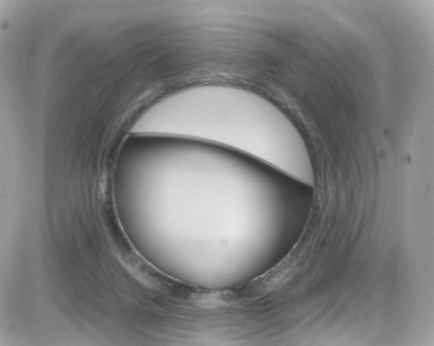 X0000082170072200701191031