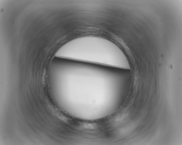 X0000082170073200701191031