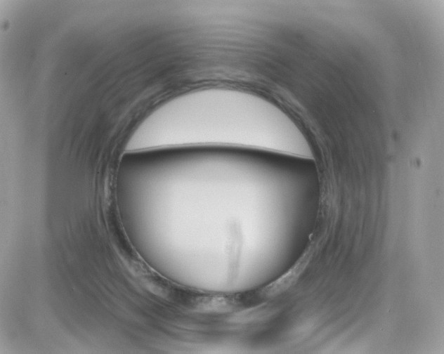 X0000082170074200701191031