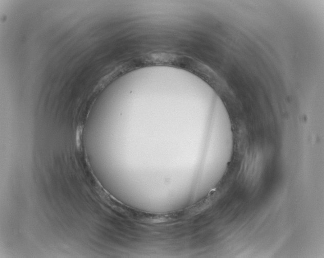 X0000082170075200701191031