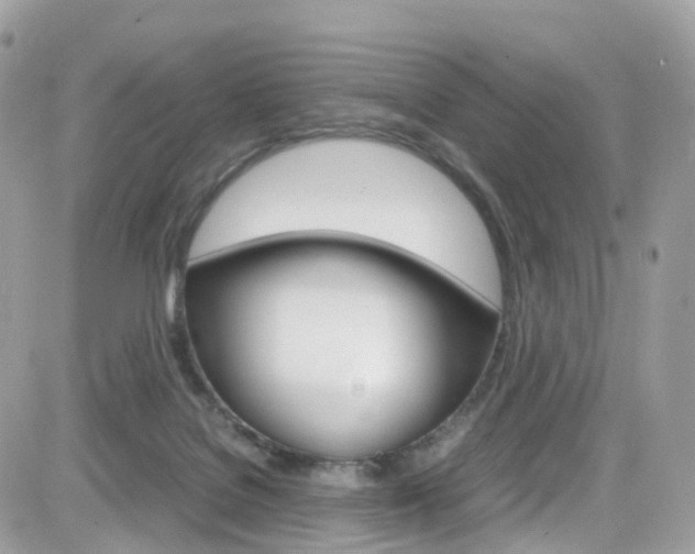 X0000082170076200701191031