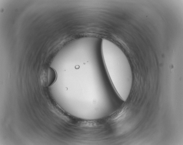 X0000082170077200701191031