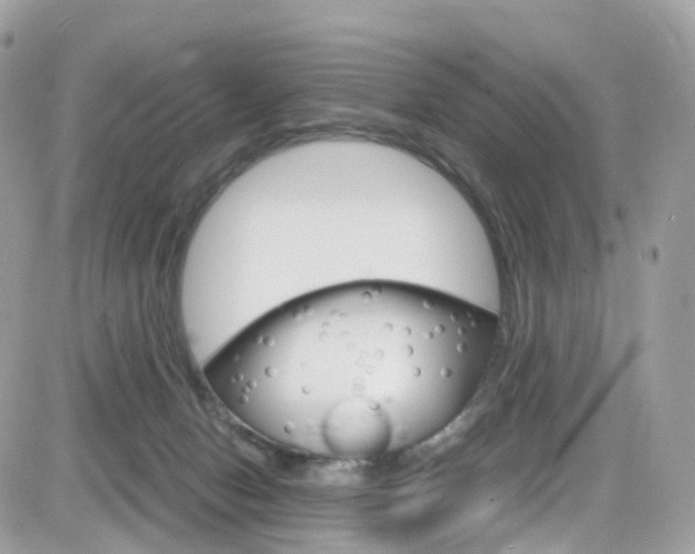 X0000082170078200701191031