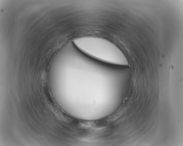 X0000082170079200701191031