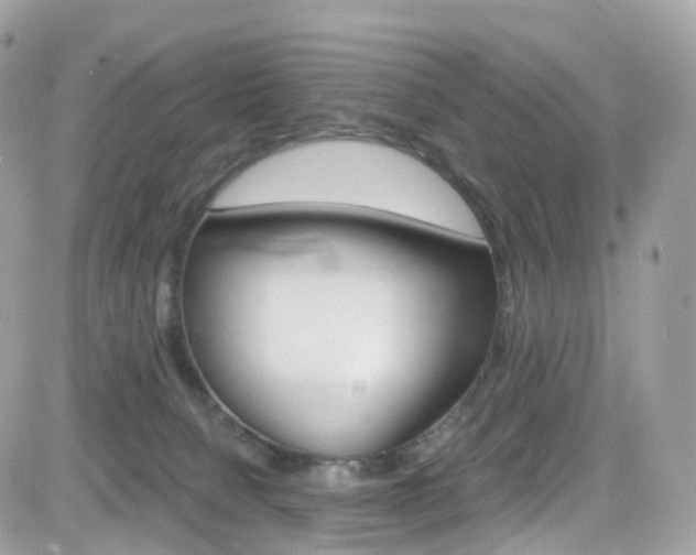 X0000082170080200701191031