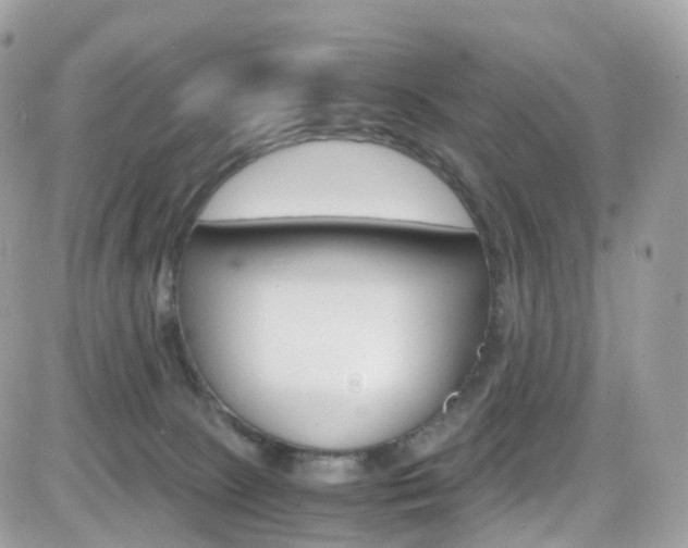 X0000082170081200701191031