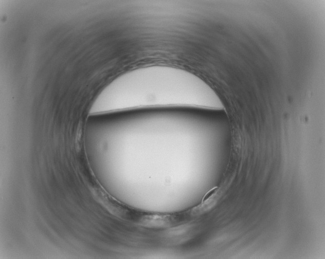 X0000082170082200701191031