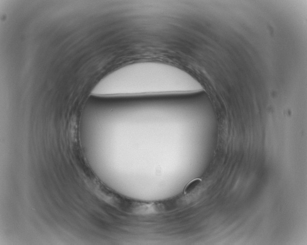 X0000082170083200701191031