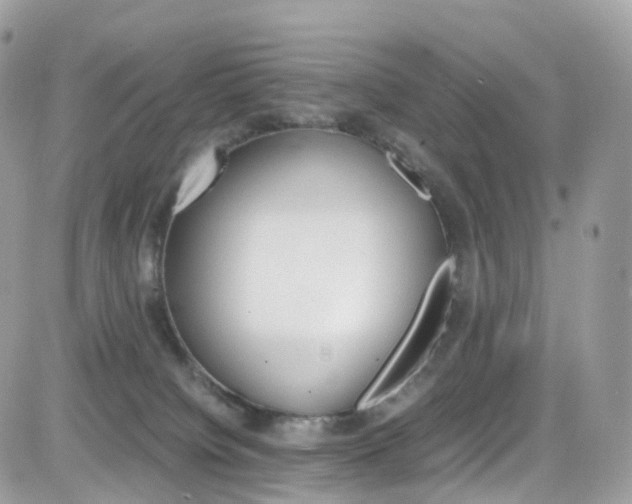 X0000082170084200701191031