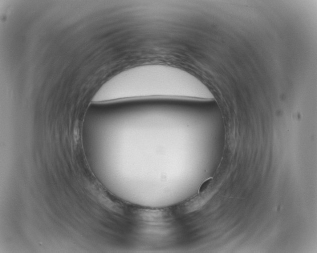 X0000082170085200701191031