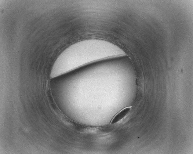 X0000082170086200701191031