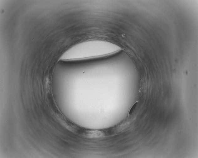 X0000082170087200701191031