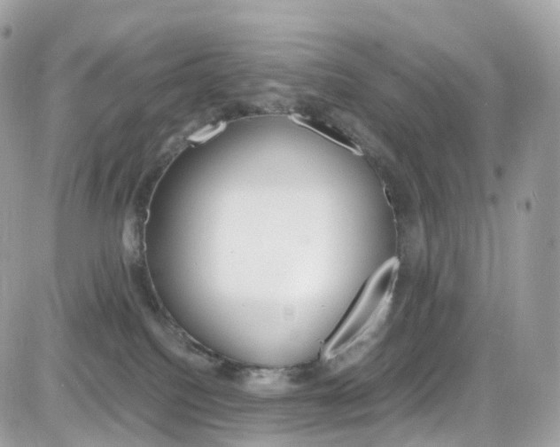 X0000082170088200701191031