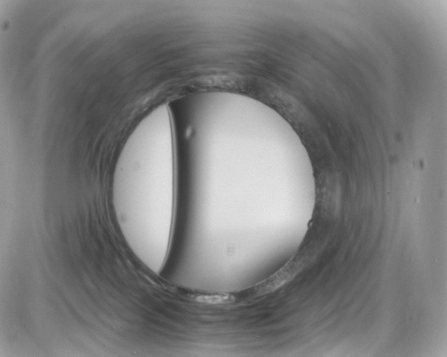 X0000082170089200701191031