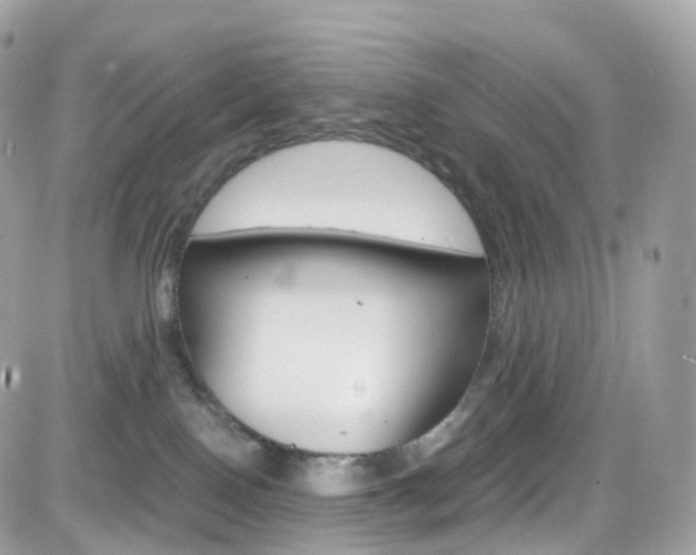 X0000082170090200701191031