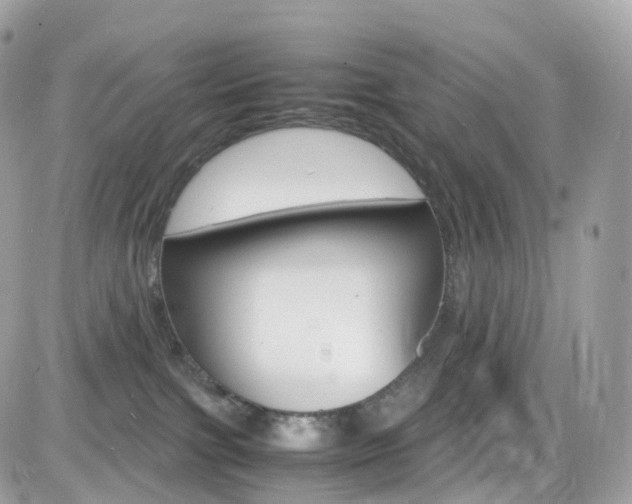 X0000082170091200701191031