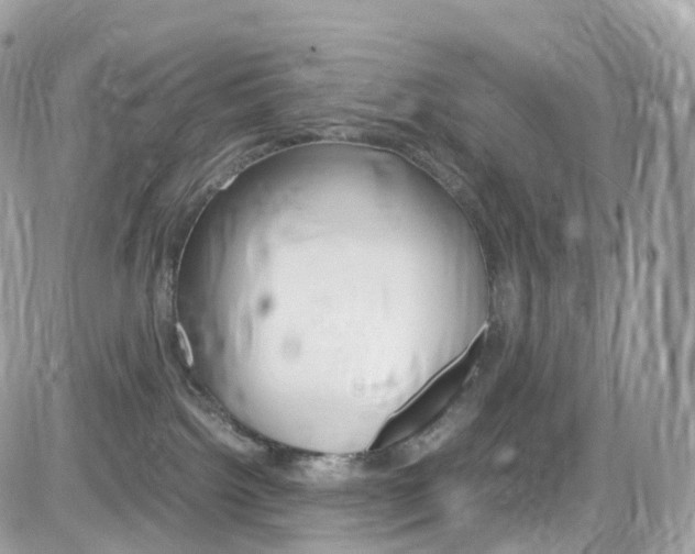 X0000082170092200701191031