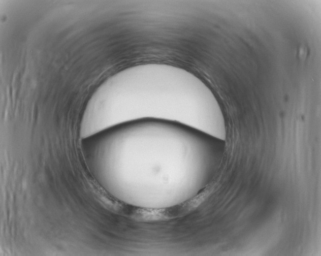 X0000082170093200701191031