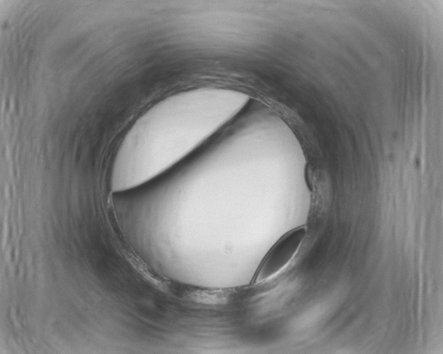 X0000082170094200701191031