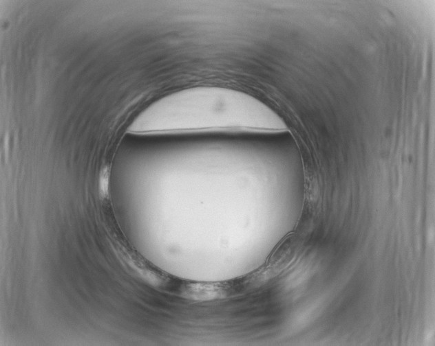 X0000082170095200701191031