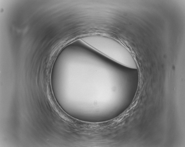 X0000082170097200701191030