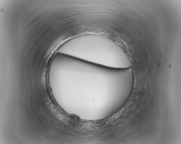 X0000082170098200701191030