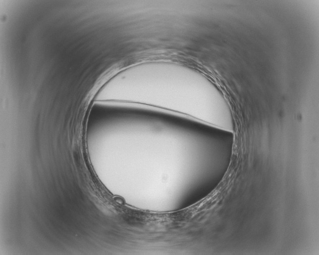 X0000082170099200701191030