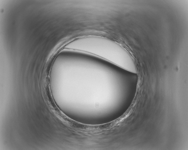 X0000082170101200701191030