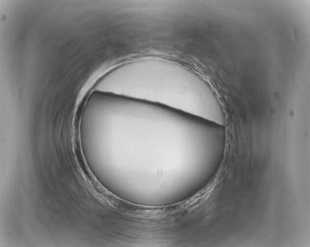 X0000082170102200701191030