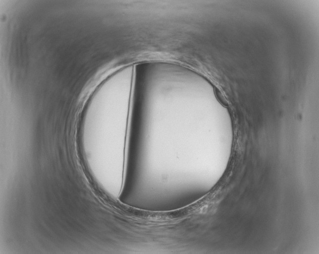 X0000082170103200701191030