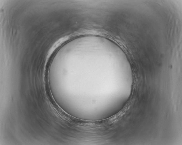 X0000082170104200701191030