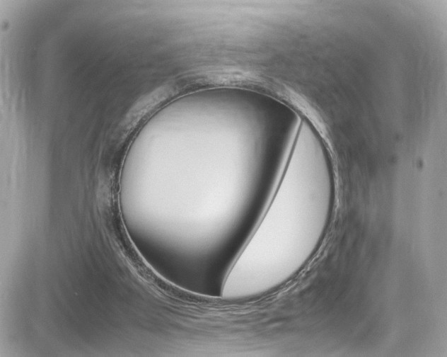 X0000082170105200701191030