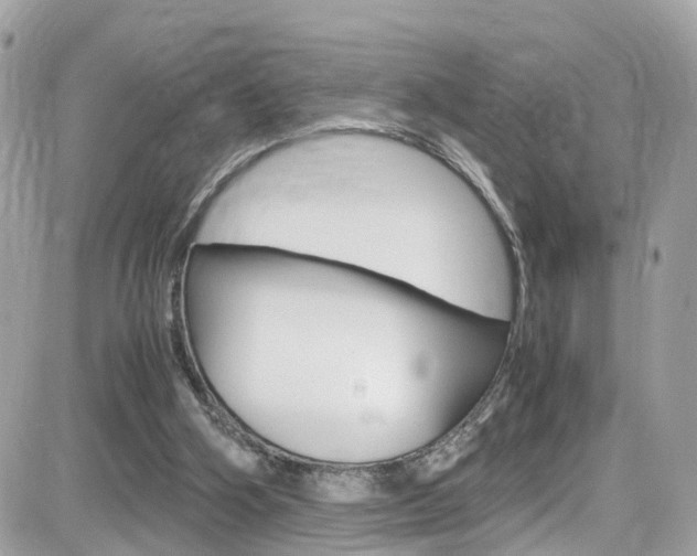 X0000082170106200701191030