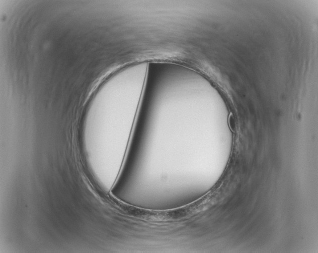 X0000082170107200701191030