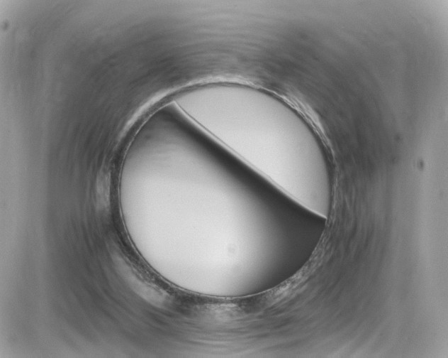 X0000082170108200701191030