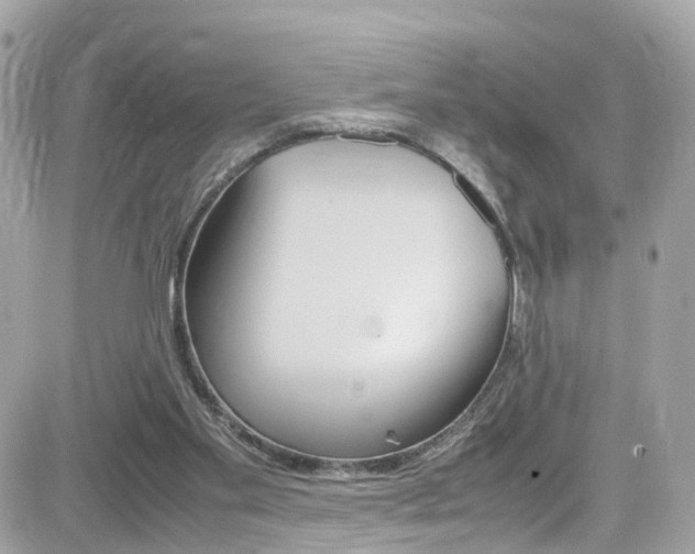 X0000082170109200701191030