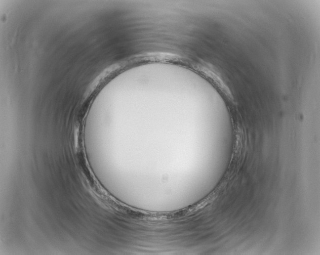 X0000082170110200701191030