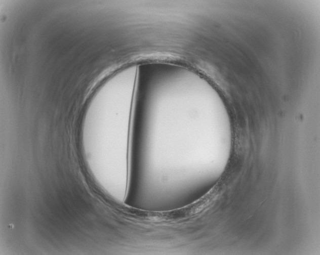 X0000082170111200701191030