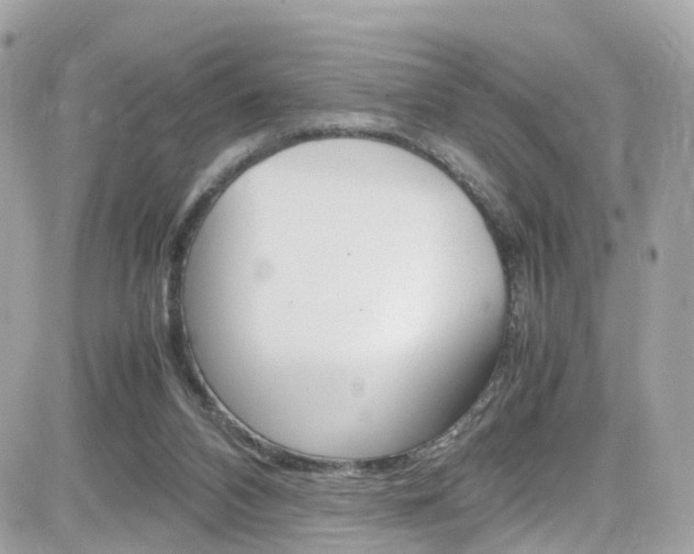 X0000082170112200701191030