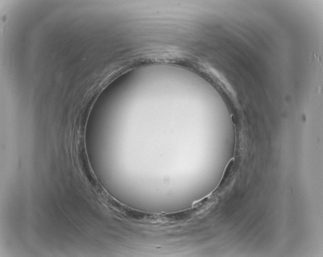 X0000082170113200701191030