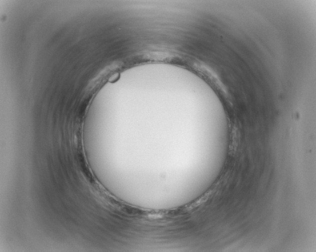 X0000082170114200701191030