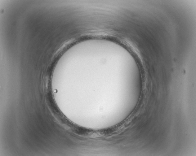 X0000082170115200701191030