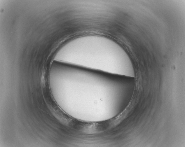 X0000082170116200701191030