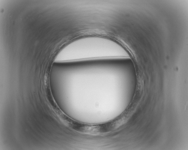 X0000082170117200701191030