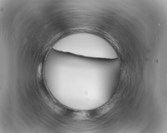 X0000082170118200701191030