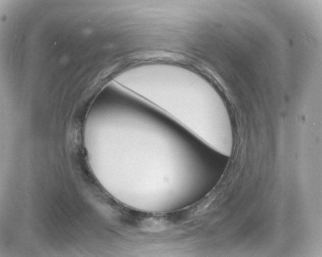 X0000082170119200701191030