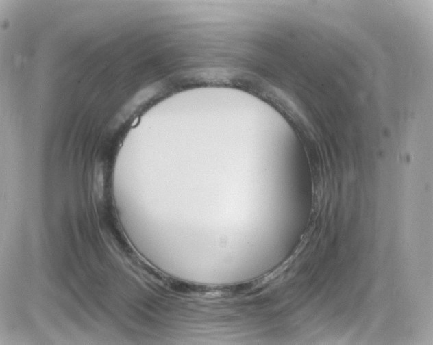 X0000082170120200701191030