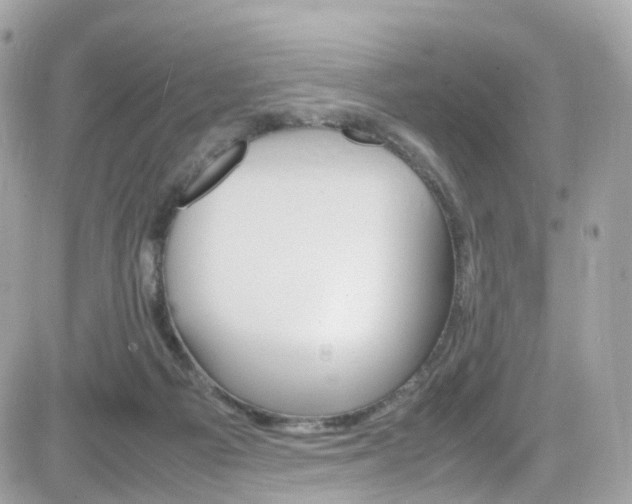 X0000082170121200701191030