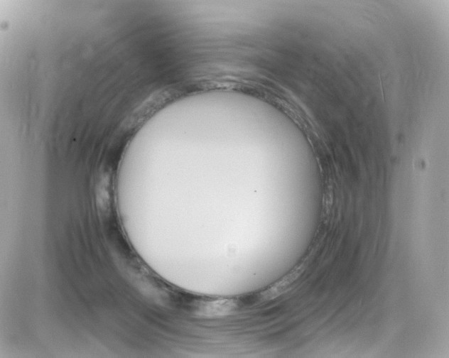 X0000082170122200701191030