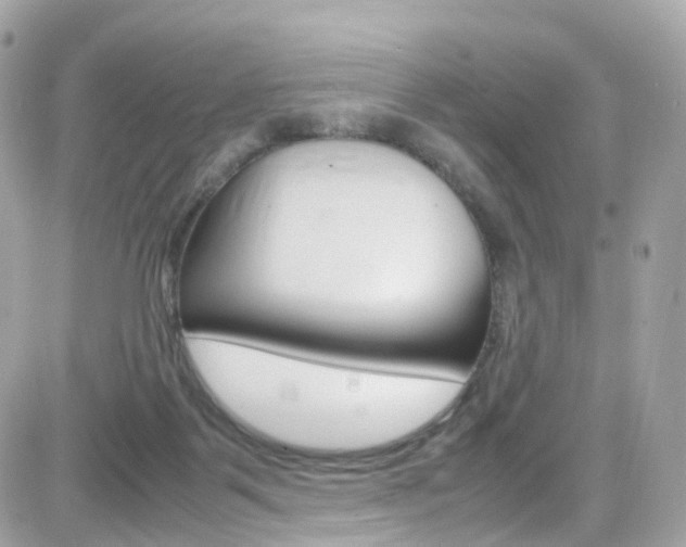 X0000082170123200701191030